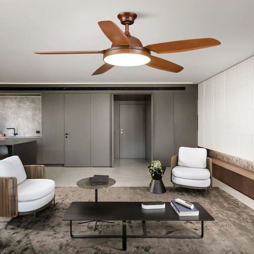 Modern 5 Blade Ceiling Fan with Light and Remote