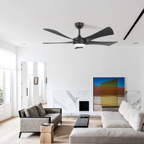 Fancy Ceiling Fan With Lights 52 inches 5 Blades Black Ceiling Fan Modern Simple Mute Ceiling Fan Light