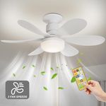 KBS 20" White Light Bulb Socket Ceiling Fan with 3 Speeds and remote functions