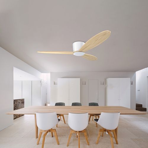 Simple Design Mute Popular Ceiling Fan with Remote Control