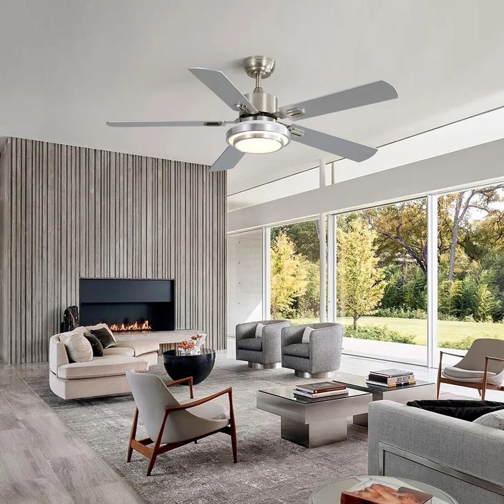Contemporary Ceiling Fan with Lights