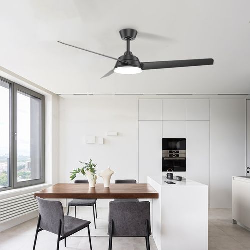 Modern Simple Style 52 Inch Fan With Remote Control LED Ceiling Fan Light