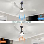 Reversible ceiling fan features