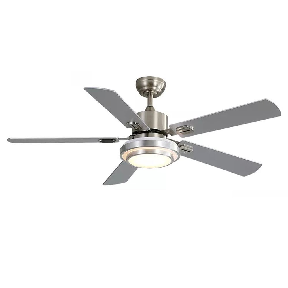Contemporary Ceiling Fan with Lights