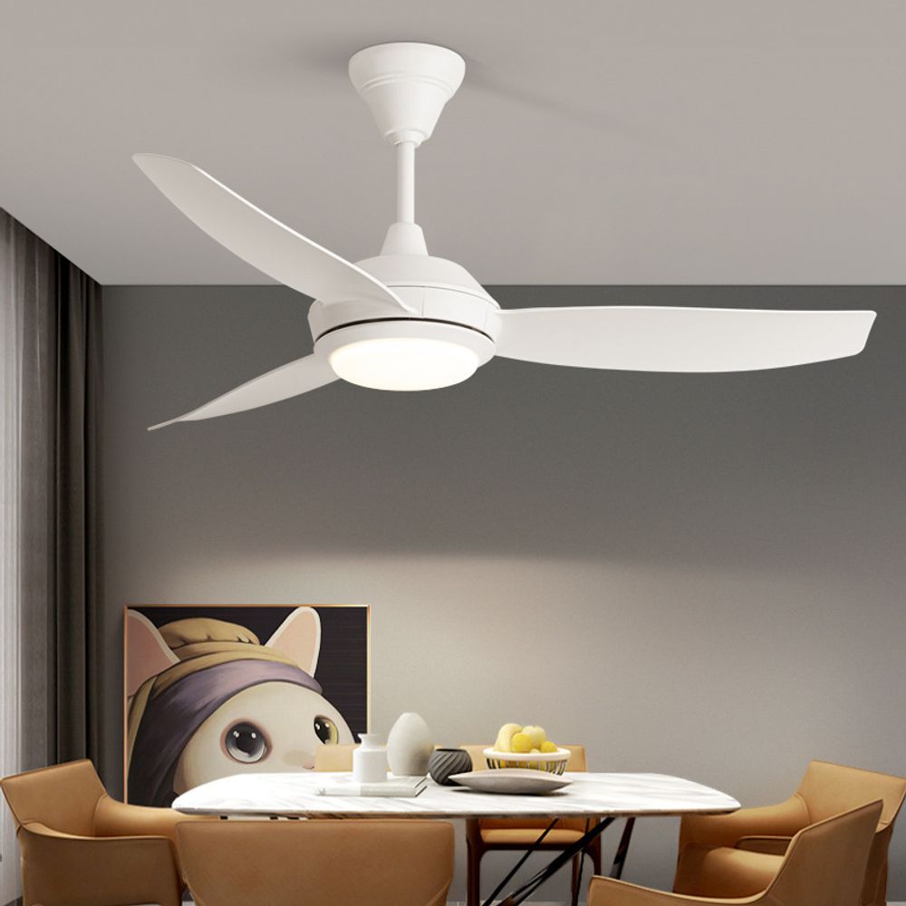 Modern Ceiling Fan