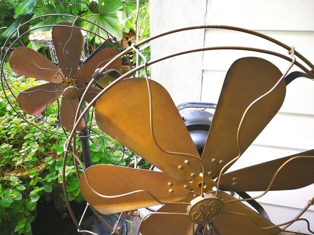 Fan