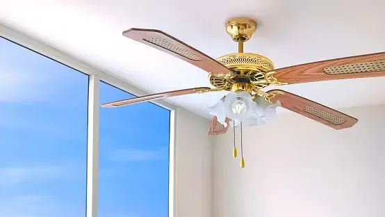 Ceiling Fan