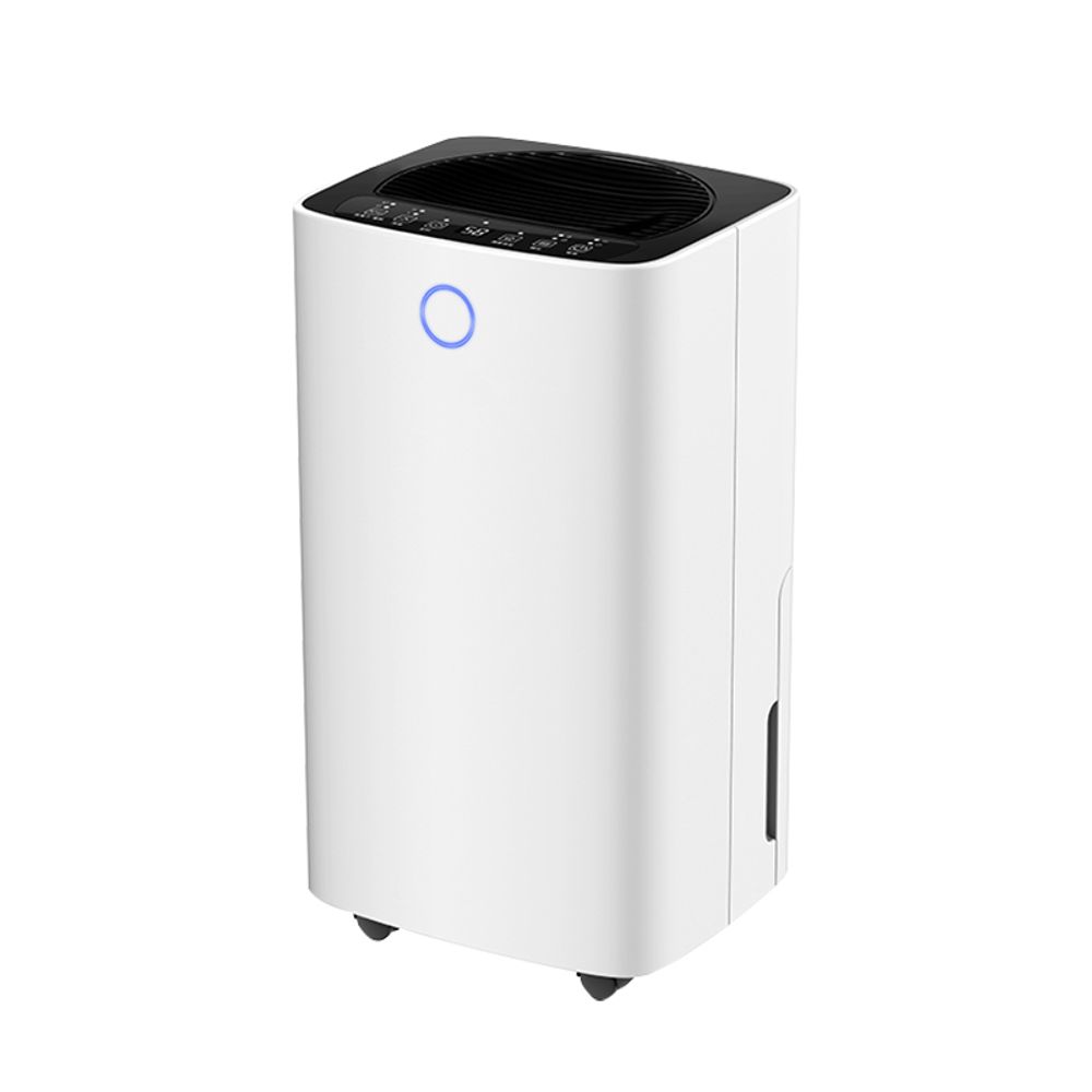 12L/Day Air Purification Dehumidifier Home with Hepa Filter and Low Power Consumption