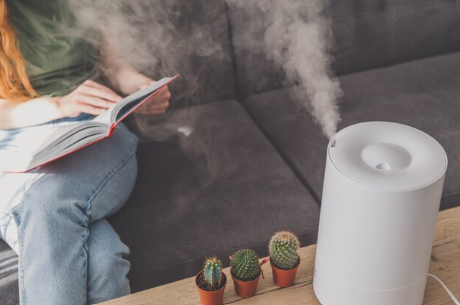 Which Is Better for Allergies: Humidifier or Air Purifier?
