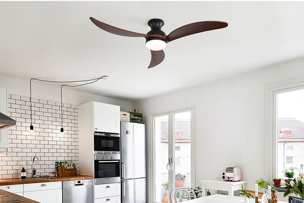 Smart Ceiling Fan