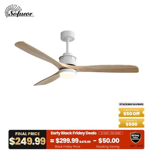 60″ Ceiling Fan With Light