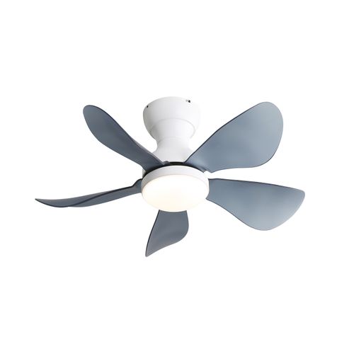 29″ Low Profile Flush Mount Ceiling Fan