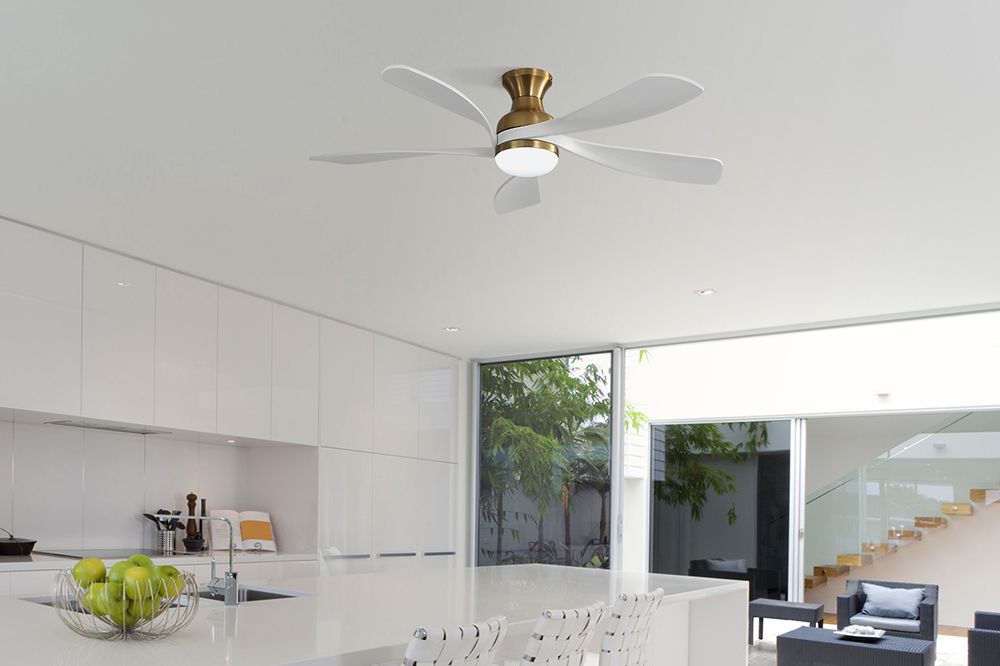 All Ceiling Fans