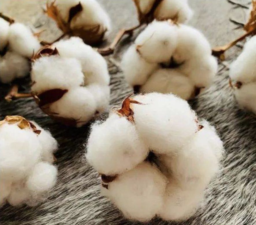 Natural vs. Synthetic Yarns: Weighing the Pros and Cons
