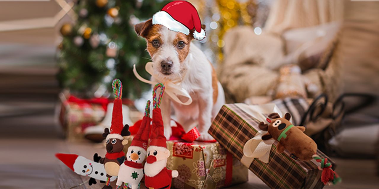 Holiday Pet Toys