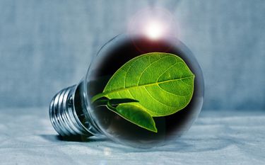 Energy Efficiency and Environmental Impact of LED Stadium Lights