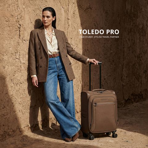 Toledo Pro Luggage Collection