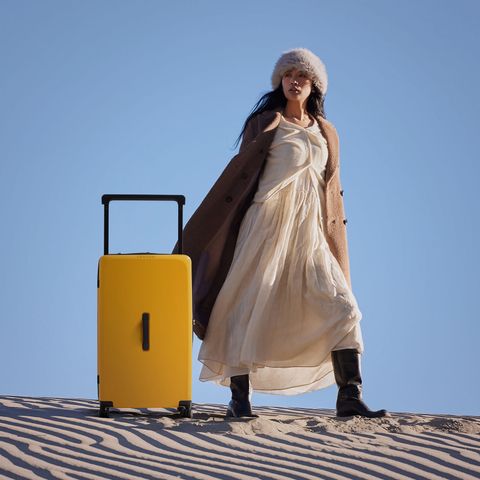 Freeland Trunk | Large Check-in