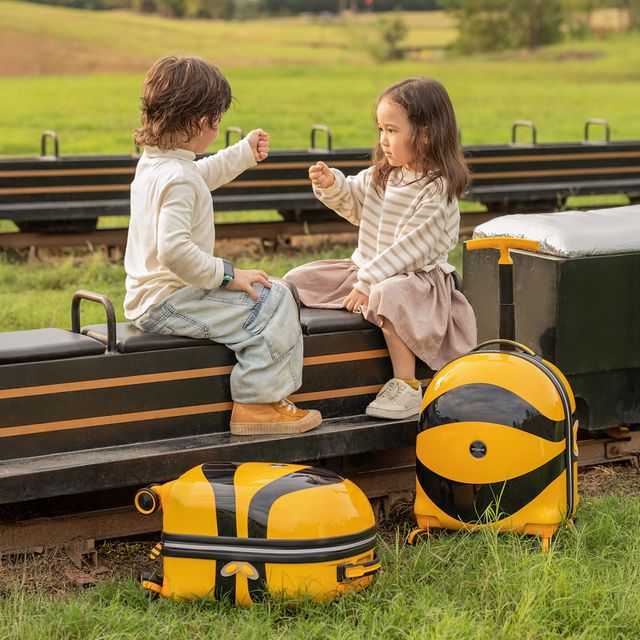 Little Bee | Carry-on