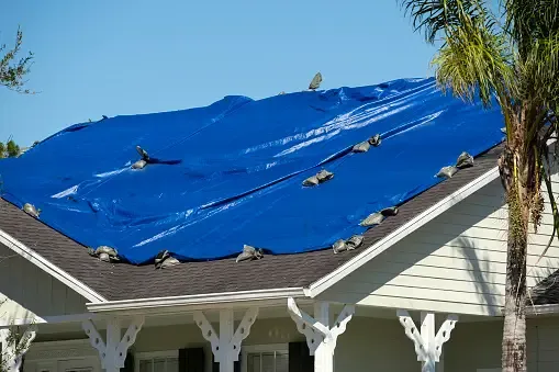 Tarps