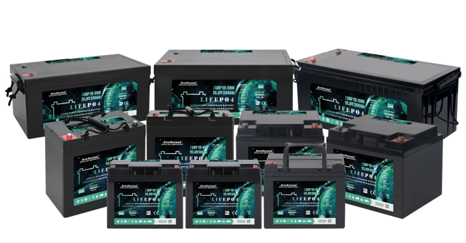 Everexceed LDP 24-200 Waterproof 256V 200Ah Lithium Battery for Marine & RV in LDP Series