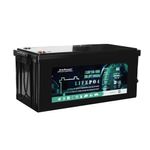 Everexceed 100ah 12v lifepo4 deep cycle battery for RV