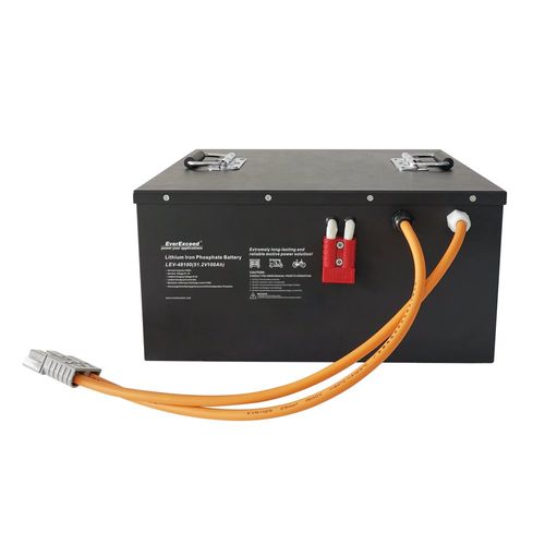 48V 100ah LiFePO4 Lithium Battery for RV