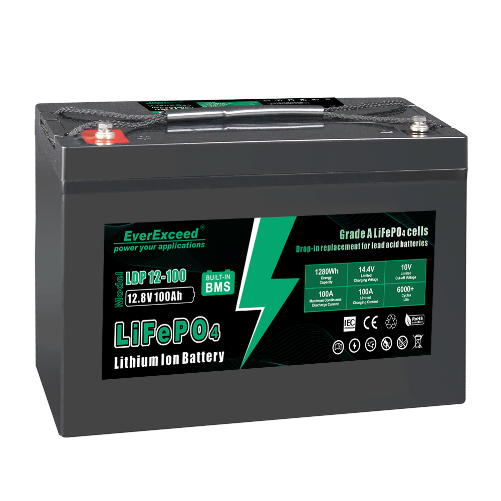 EverExceed 100ah 12v lifepo4 deep cycle battery