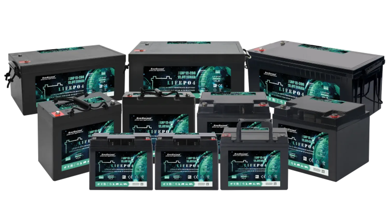 EverExceed LFP batteries