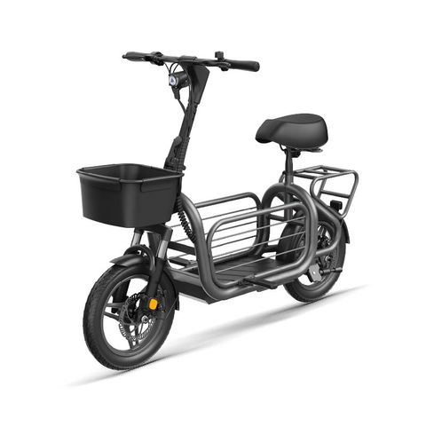 Load-Carrying Seated E-Scooter SAV1