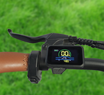 LCD Display for Movcan V80 Electric Bike