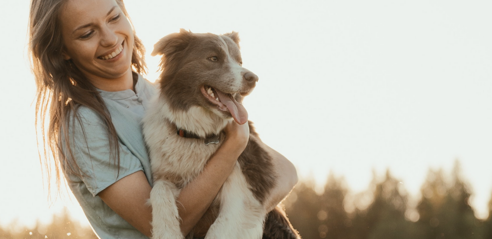 organic-healthy-snacks-for-dogs-dog-treat-suppliers-meatyway