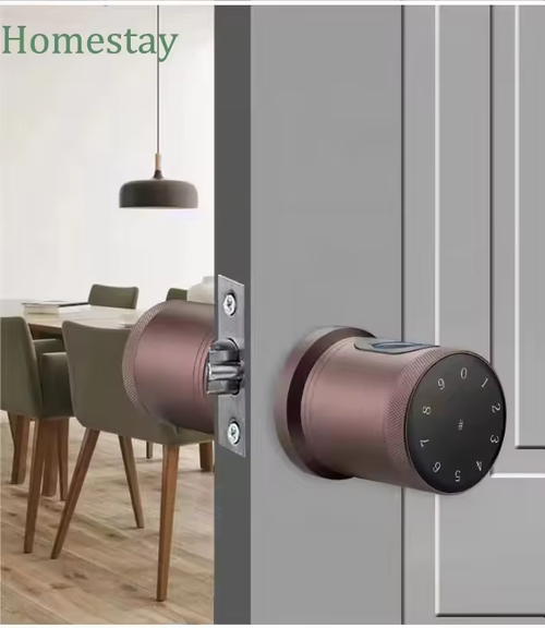 Hight Security Digital Keypad Fingerprint Round Knob Smart Door Knob Lock 50 Multi-function Bluetooth Deadbolt Smart Lock