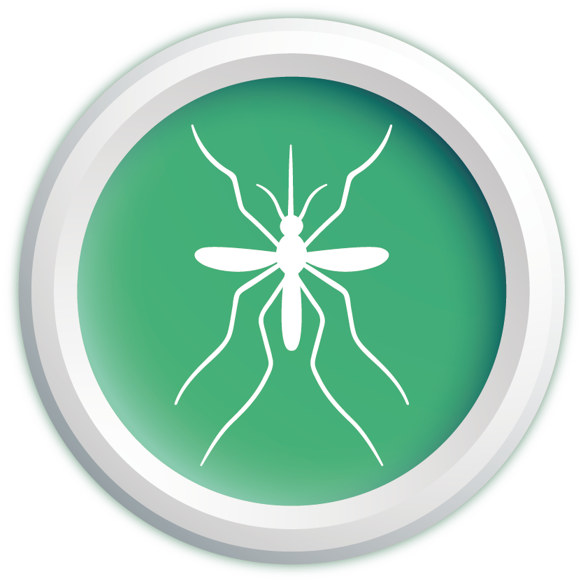 Mosquito-borne Solutions(ICA)