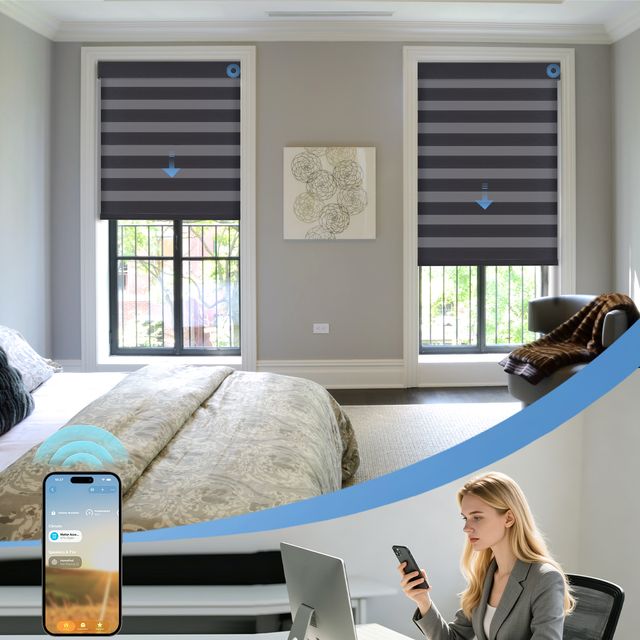 Eve Motionblinds Motorized Zebra Shades