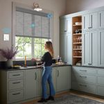 blinds and roller shades