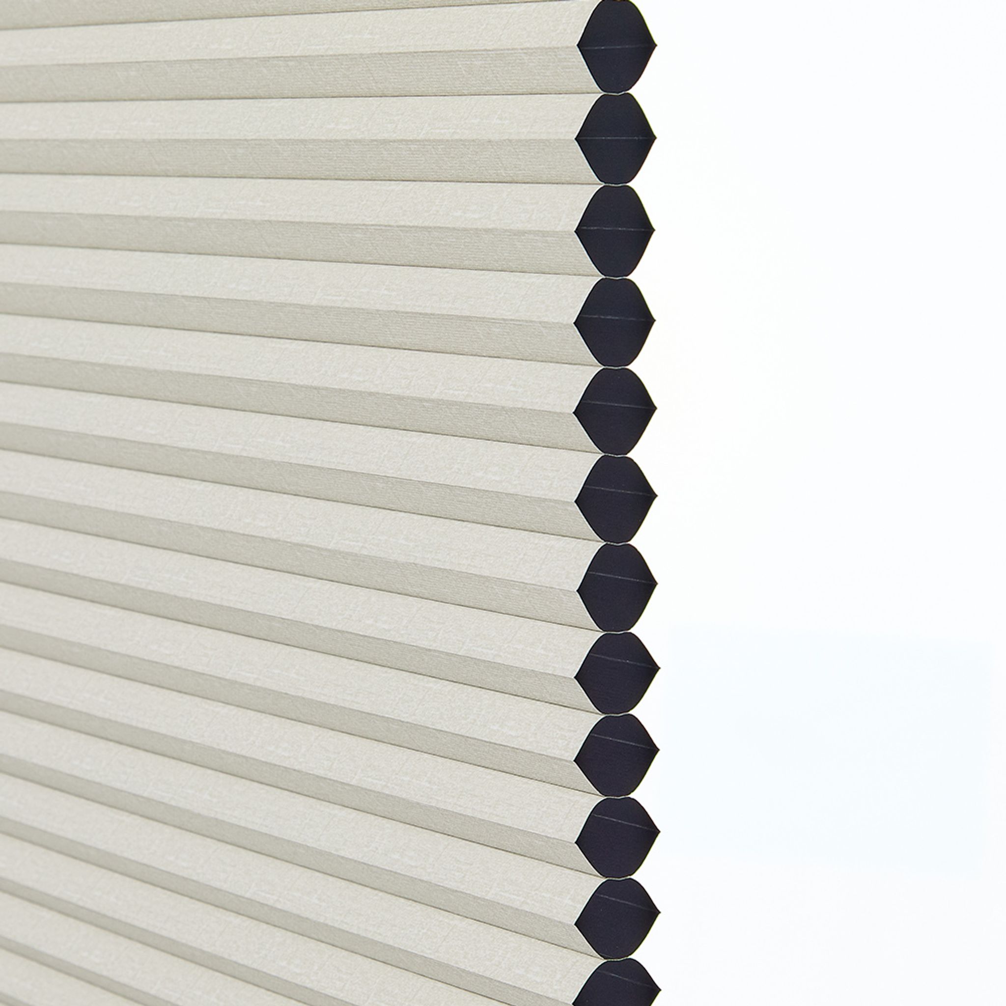 Light Beige-Blackout