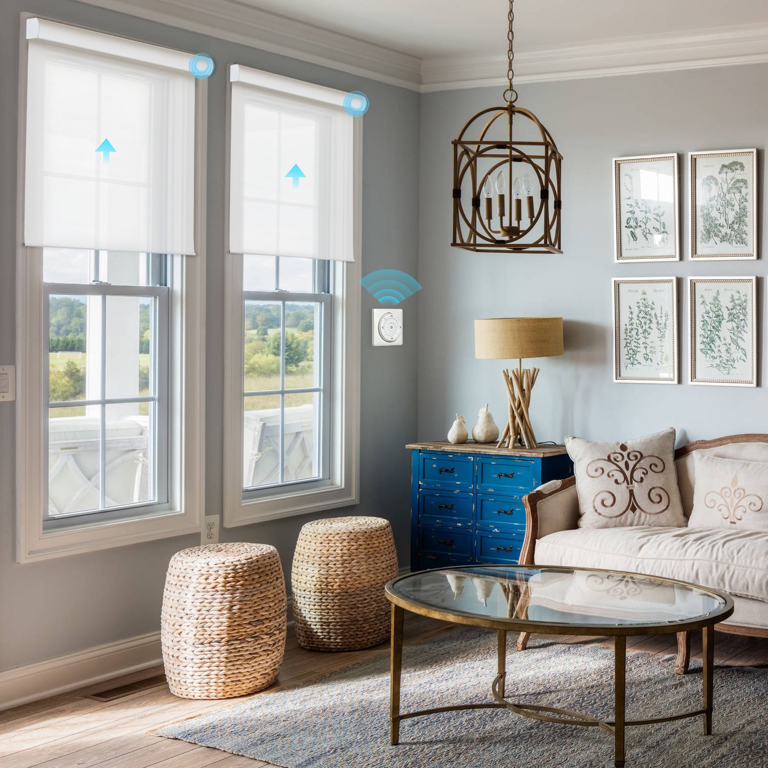 blinds and roller shades