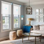 blinds and roller shades