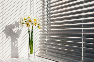 Motorized vs Manual: Which Custom Blind Option Is Right for You