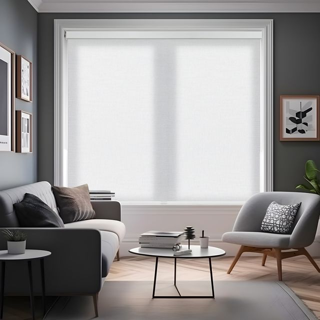 Cordless Light Filtering Roller Shades With Jacquard Pattern