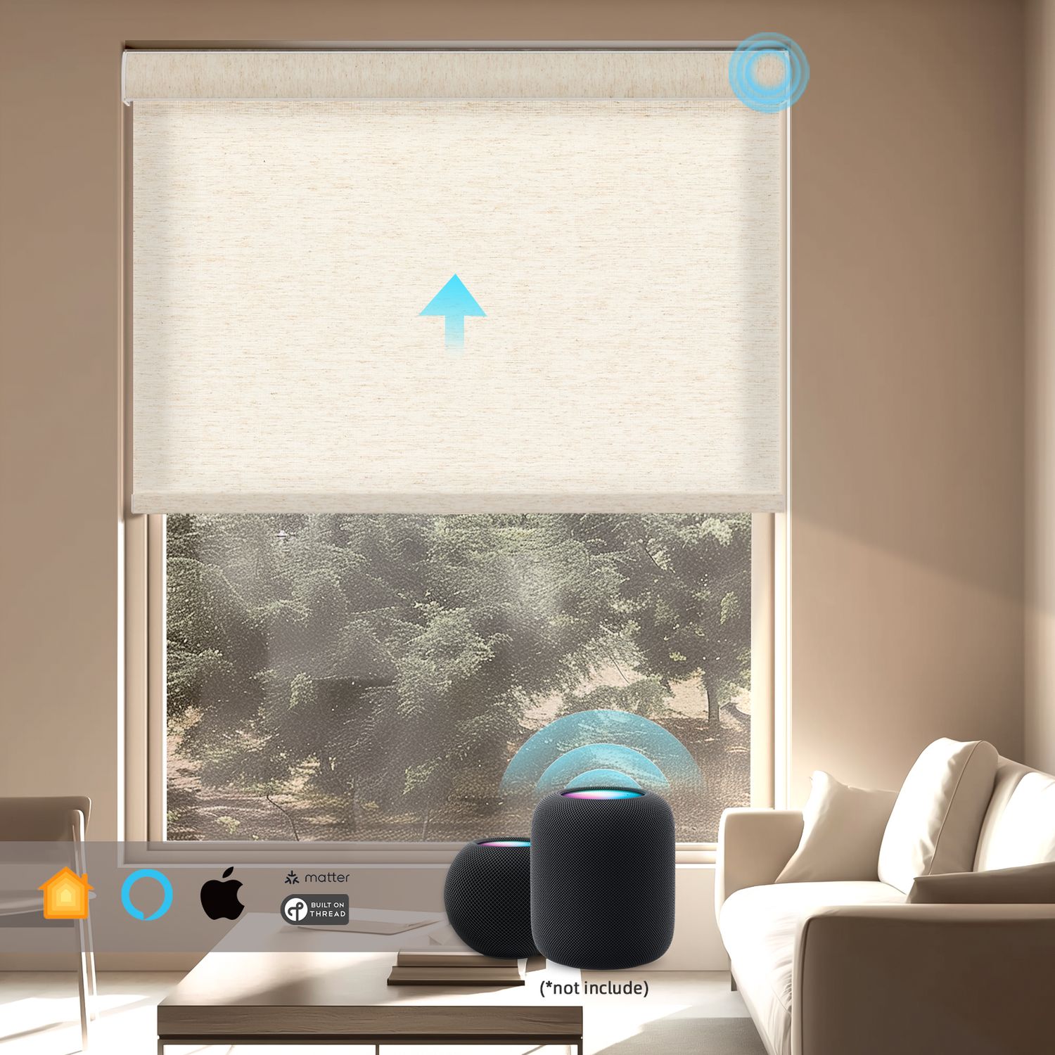 Roller Shades