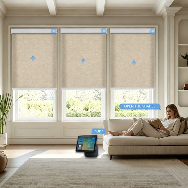 Motorized Natural Woven Roller Shades