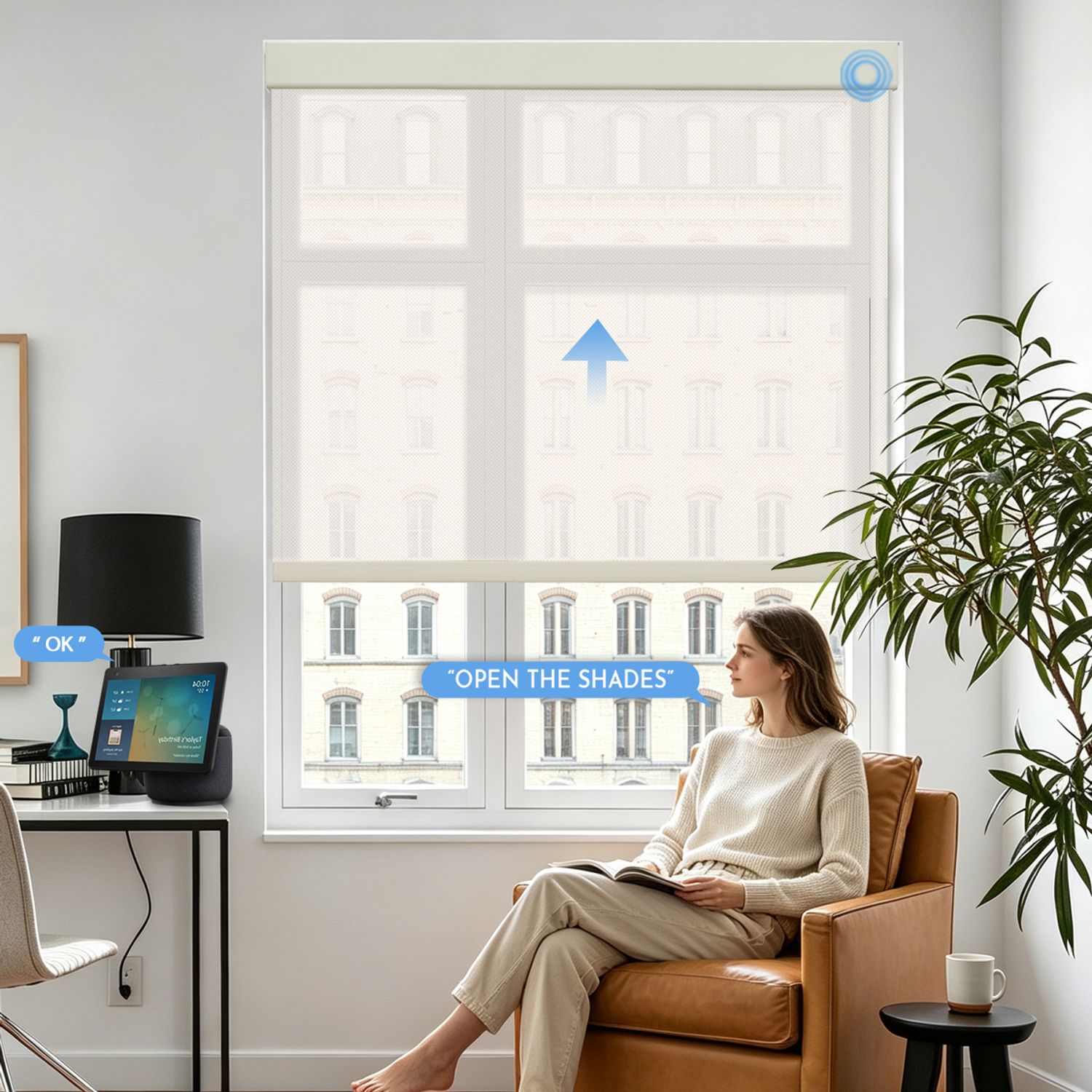 Motorized 5% Openness See-Through Solar Shades for bedroom