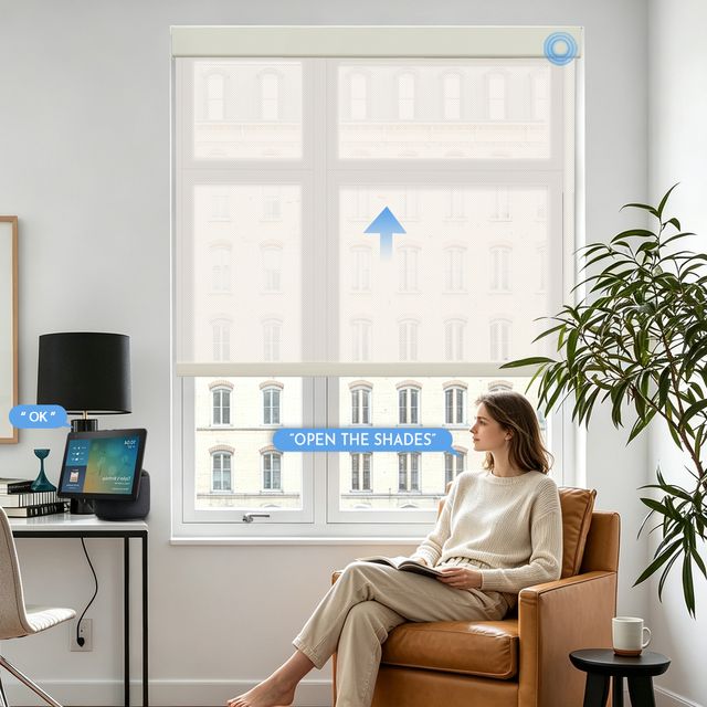 Motorized 5% Openness Basic Solar Shades