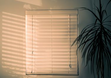What Shades and Blinds Should You Get
