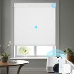 Automated Roller Shades Blackout