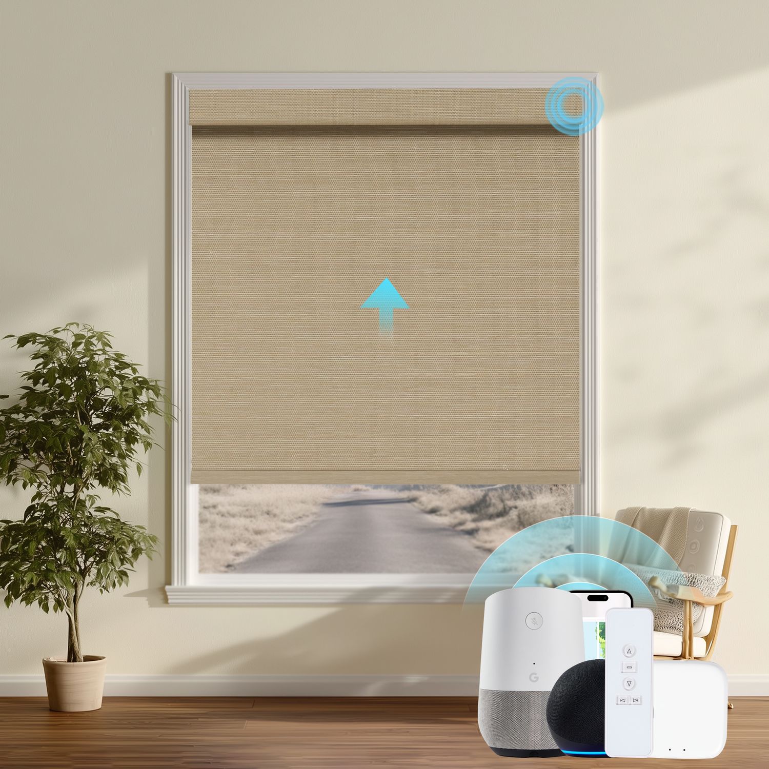 Automated Roller Shades