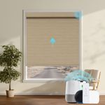 Automated Roller Shades
