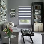 Persilux Gray Dual-Layer Zebra Blackout Blinds